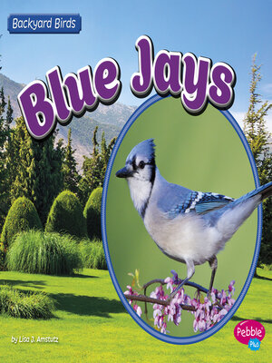 cover image of Blue Jays